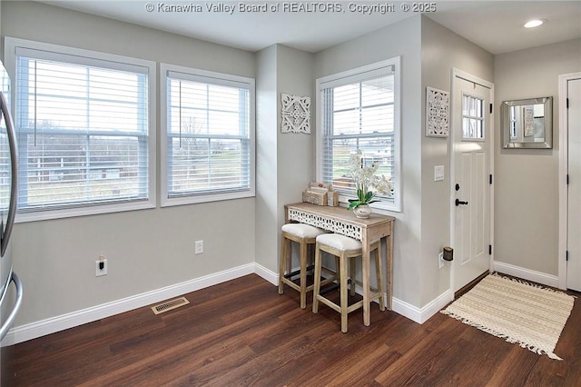 entrance foyer featuring dark wood-type flooring