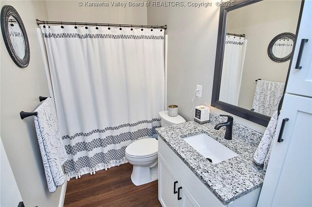 bathroom featuring vanity, wood-type flooring, and toilet