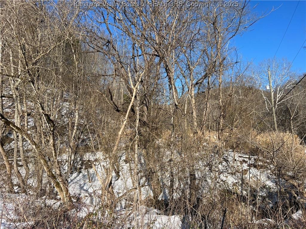 0 Elk River Rd, Clendenin, WV 25045 - photo 1