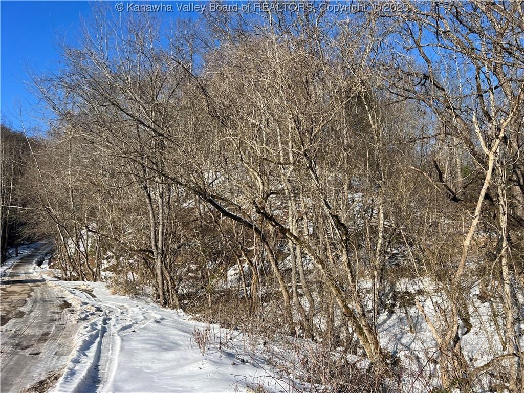 0 Elk River Rd, Clendenin, WV 25045 - photo 2