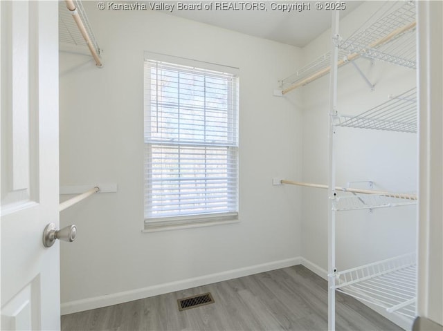 walk in closet featuring wood-type flooring