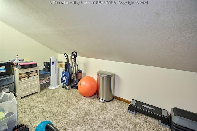 exercise room with a textured ceiling, light colored carpet, and vaulted ceiling