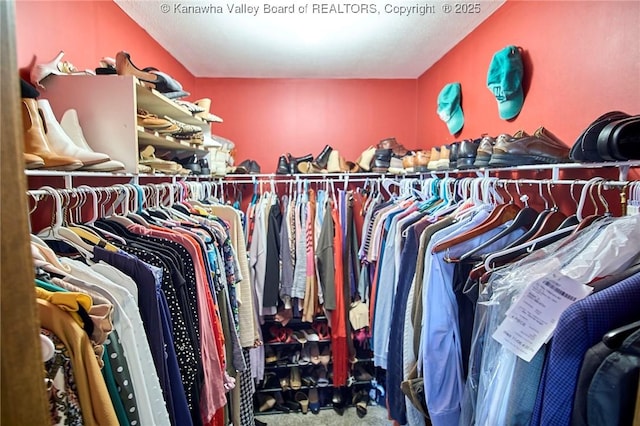 spacious closet featuring carpet floors