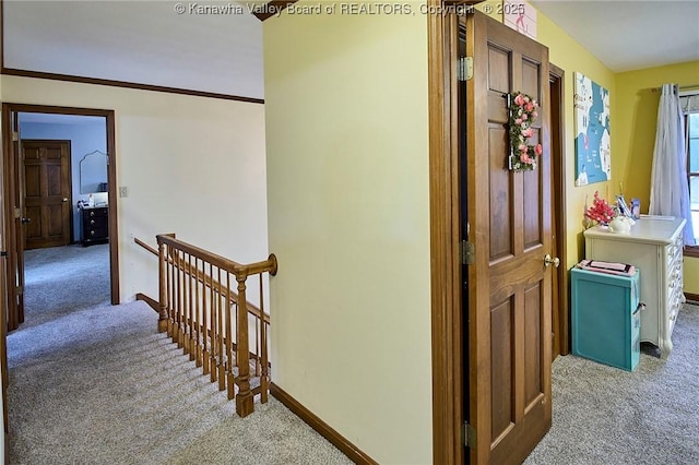 hall with crown molding and carpet flooring