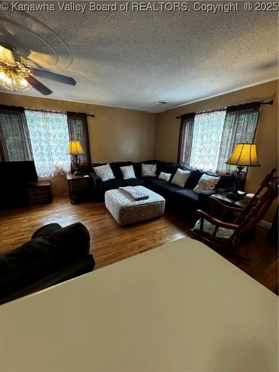 living room featuring a textured ceiling, a wealth of natural light, and hardwood / wood-style flooring