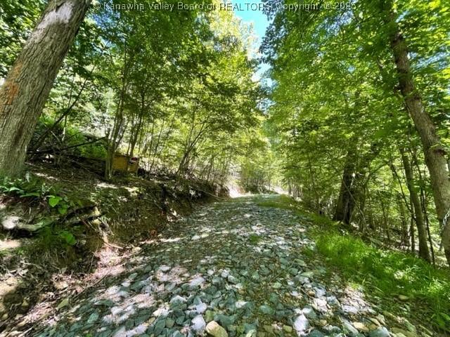 1251 Wolf Run Rd, Duck WV, 25043 land for sale