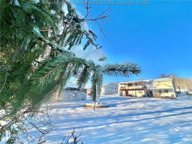 view of yard covered in snow