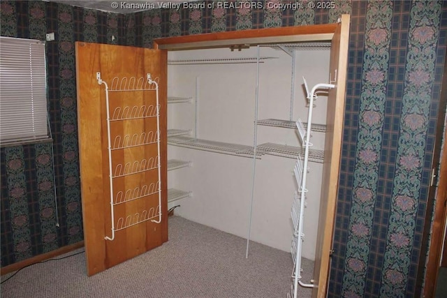 spacious closet with carpet floors