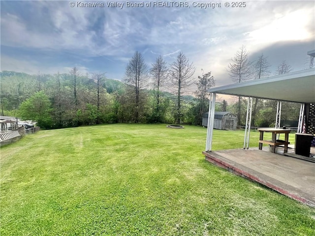view of yard with a storage shed, an outdoor structure, and a patio area