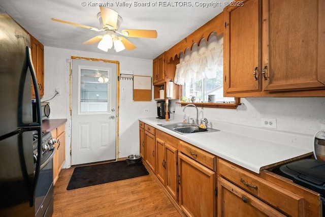 kitchen featuring ceiling fan, appliances with stainless steel finishes, light hardwood / wood-style floors, and sink