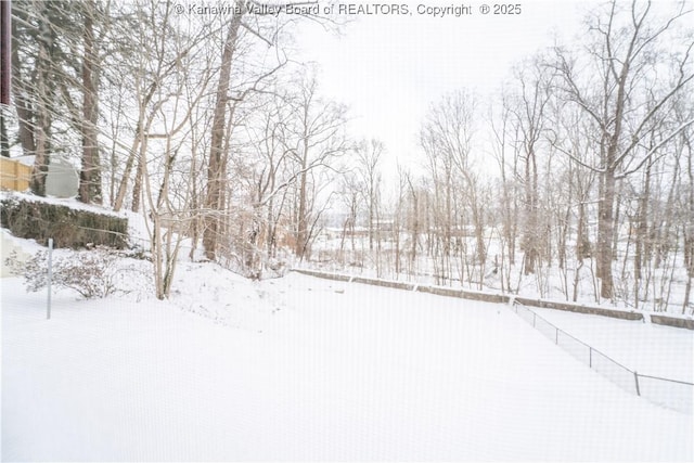 view of snowy yard