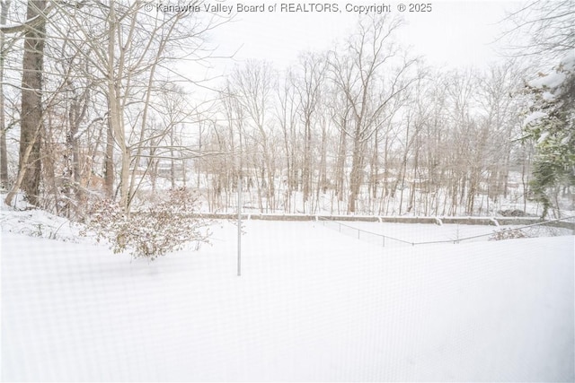 view of snowy yard