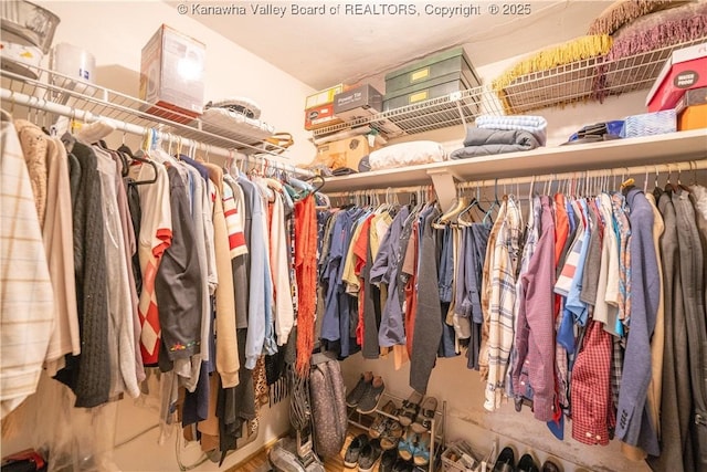 view of spacious closet