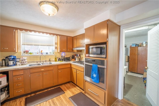 kitchen with appliances with stainless steel finishes, light hardwood / wood-style floors, tasteful backsplash, and sink