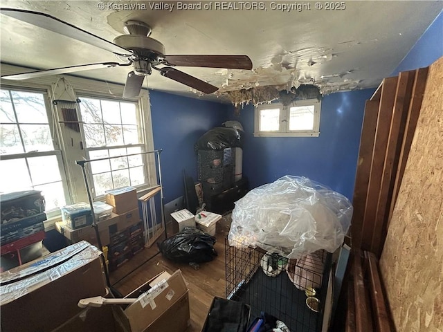 bedroom featuring ceiling fan and hardwood / wood-style floors