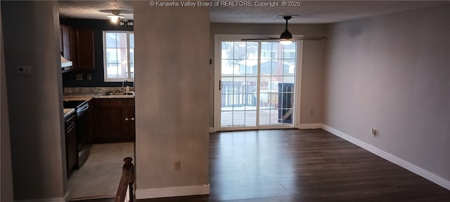 interior space with hardwood / wood-style flooring, sink, and ceiling fan