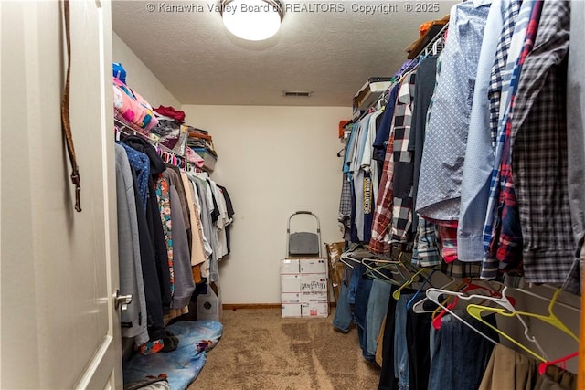 spacious closet with carpet flooring