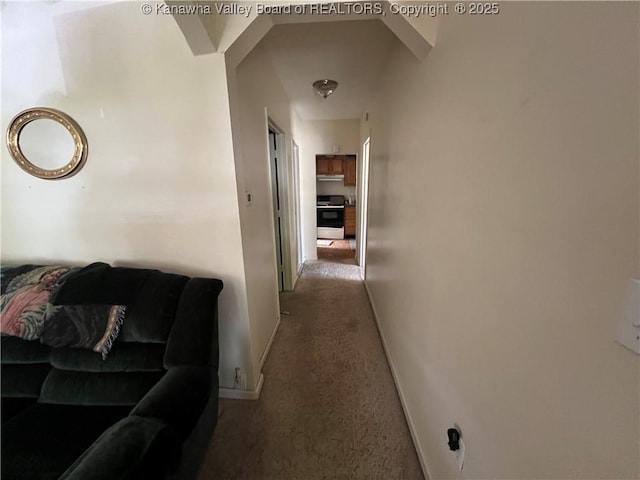 corridor with carpet floors