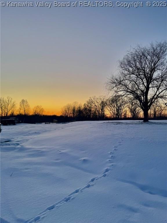 view of yard at dusk