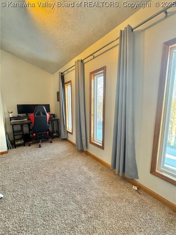 interior space featuring a textured ceiling, carpet, and vaulted ceiling