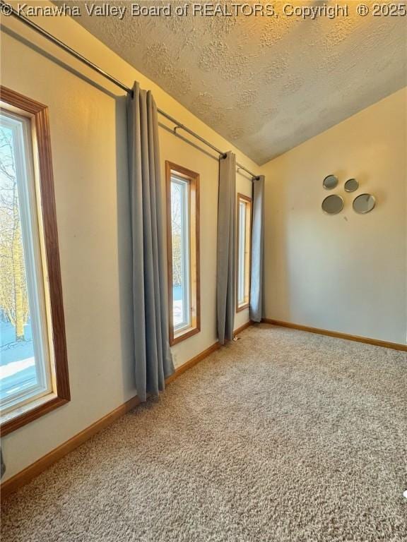 empty room featuring carpet and a textured ceiling