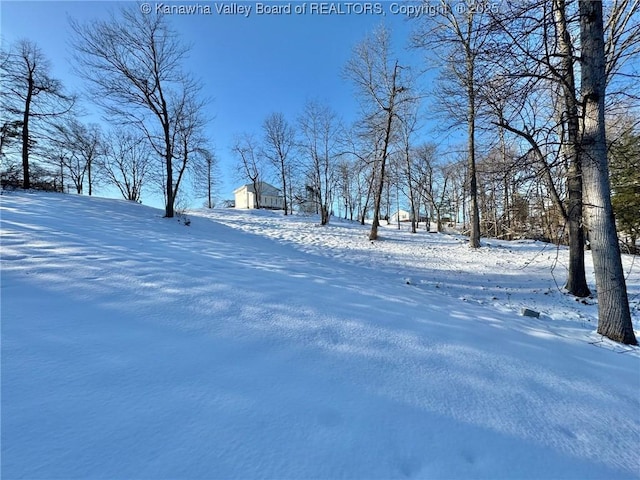 view of yard layered in snow