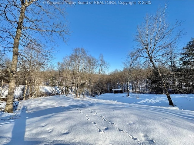 view of snowy yard