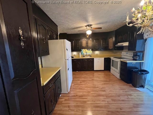 kitchen featuring sink, white appliances, dark brown cabinetry, a textured ceiling, and light wood-type flooring