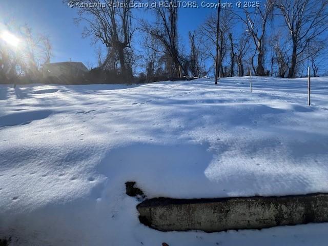 view of yard covered in snow