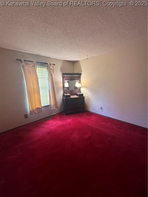 spare room featuring carpet and a textured ceiling