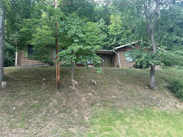 view of yard