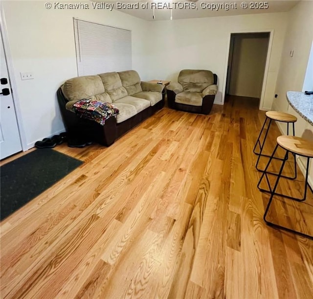 living room with hardwood / wood-style flooring