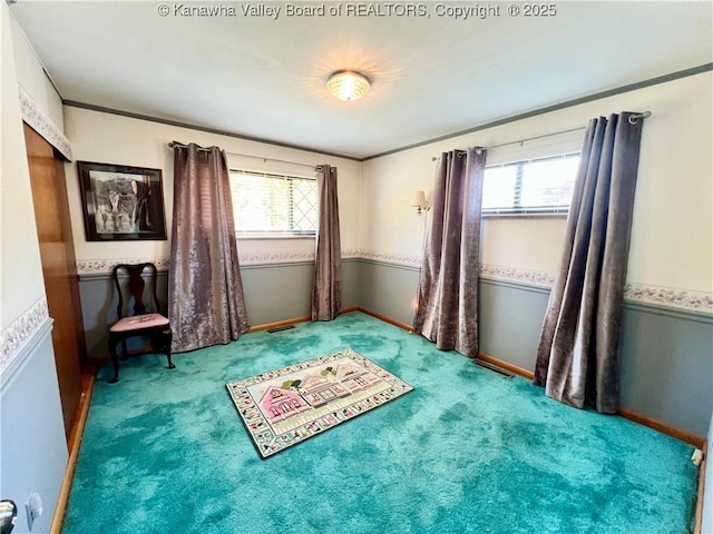 bedroom with carpet floors