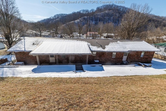 rear view of property featuring a yard