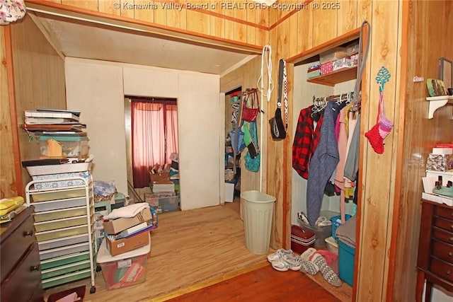 interior space with wooden walls and wood-type flooring