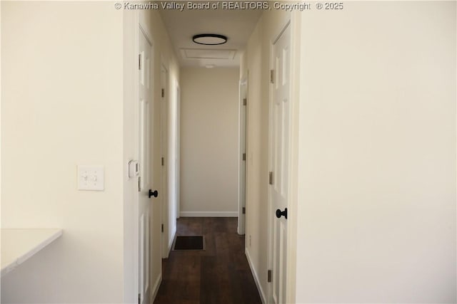 hallway featuring dark hardwood / wood-style flooring