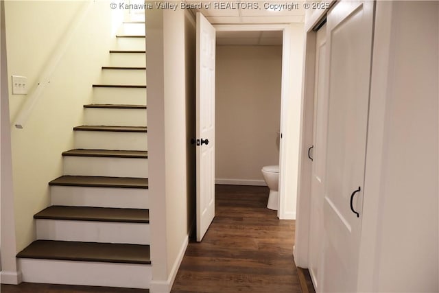 stairs featuring hardwood / wood-style flooring