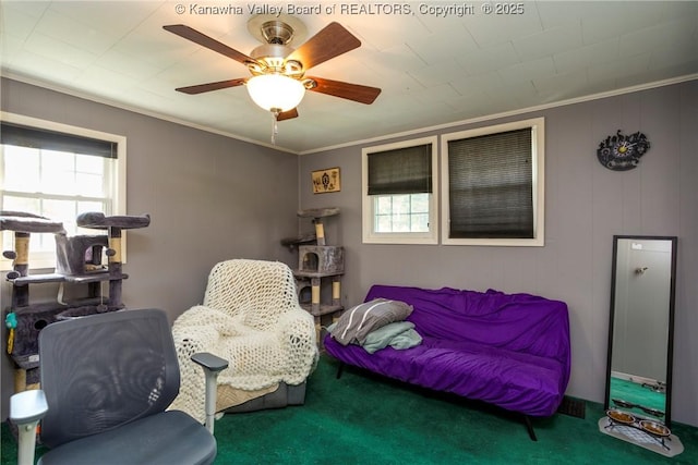 living area with ornamental molding, plenty of natural light, carpet flooring, and ceiling fan