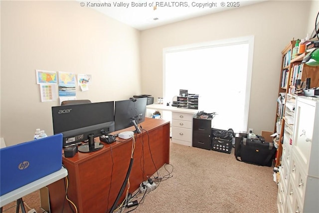 carpeted office featuring plenty of natural light