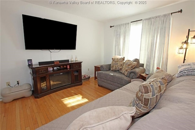 living room featuring light hardwood / wood-style flooring