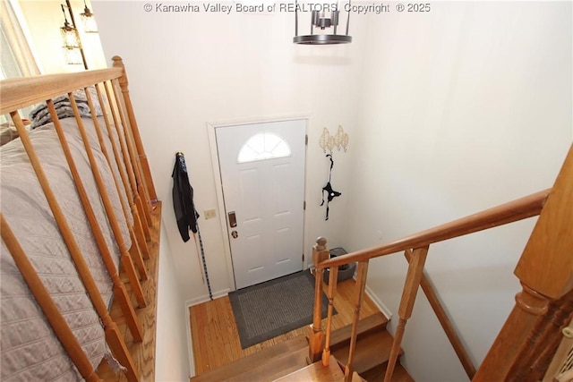 foyer entrance featuring wood-type flooring