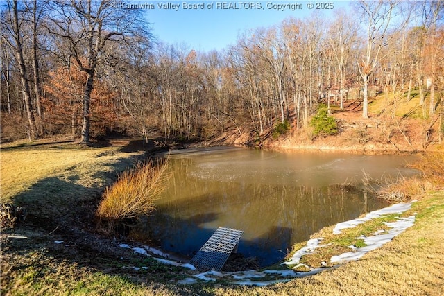 view of water feature