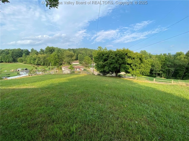 view of yard with a rural view