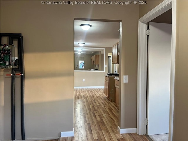 hall with light hardwood / wood-style flooring