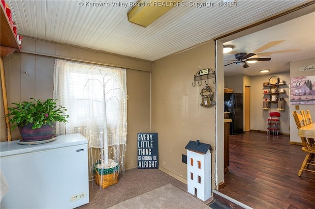 clothes washing area featuring wood-type flooring and ceiling fan