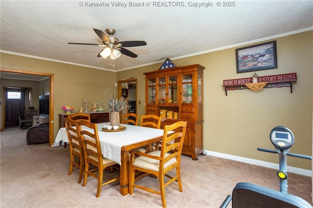 carpeted dining space featuring ceiling fan, ornamental molding, and a textured ceiling