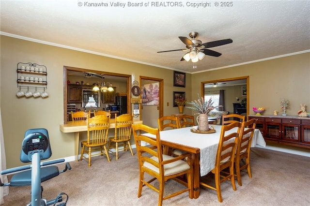 dining room featuring crown molding, carpet flooring, and a textured ceiling