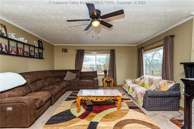 living room with light colored carpet, plenty of natural light, and a textured ceiling