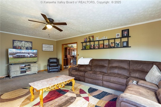 living room with ceiling fan, carpet floors, ornamental molding, and a textured ceiling