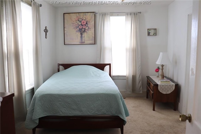 bedroom featuring light carpet